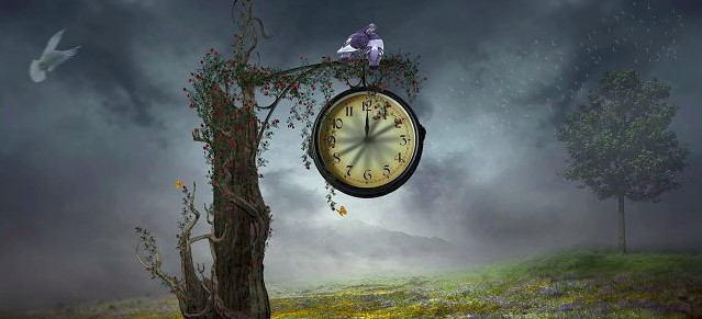 Часы на дереве. Как машина времени